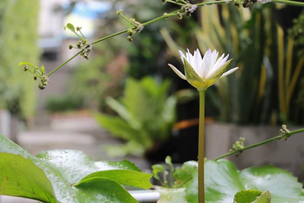 Namnon Place Nonthaburi Eksteriør billede